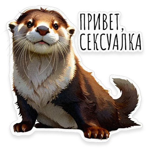 Стикерпак ВЫДРОЧАТик для Telegram — скачать