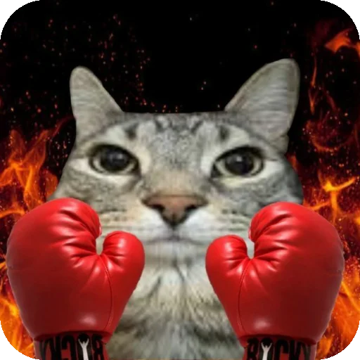 🐱 Стикер «Сидим не рыпаемся» для Telegram