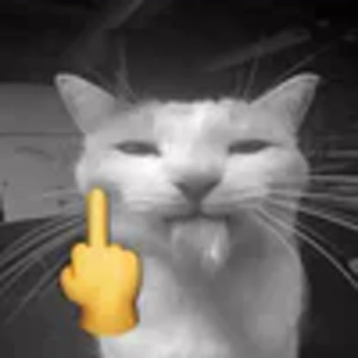 🖕 Эмодзи «silly cats» для Telegram