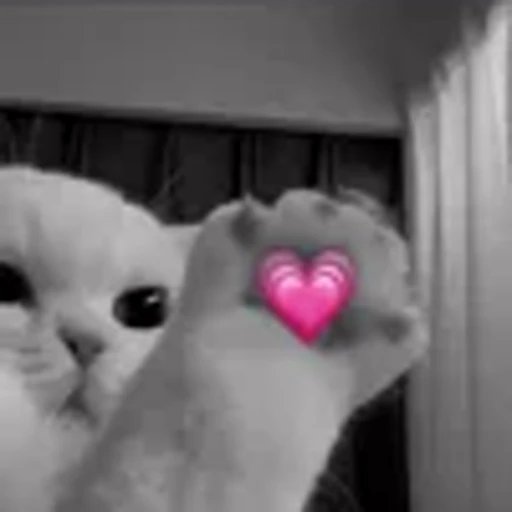 🥰 Эмодзи «silly cats» для Telegram