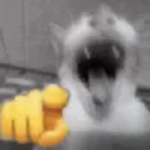 🤣 Эмодзи «silly cats» для Telegram