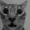 😧 Эмодзи «Silly Cats» для Telegram
