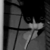 🥲 Эмодзи «Silly Cats» для Telegram