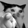 😀 Эмодзи «Silly Cats» для Telegram