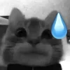😅 Эмодзи «Silly Cats» для Telegram