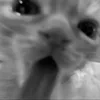 😚 Эмодзи «Silly Cats» для Telegram
