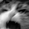 😡 Эмодзи «Silly Cats» для Telegram