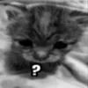 🤨 Эмодзи «Silly Cats» для Telegram