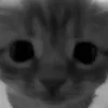 🙂 Эмодзи «Silly Cats» для Telegram