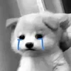😭 Эмодзи «Silly Cats» для Telegram