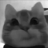 😊 Эмодзи «Silly Cats» для Telegram