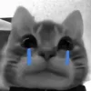 😭 Эмодзи «Silly Cats» для Telegram