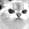 😡 Эмодзи «Silly Cats» для Telegram