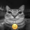 😐 Эмодзи «Silly Cats» для Telegram