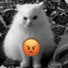 😡 Эмодзи «Silly Cats» для Telegram