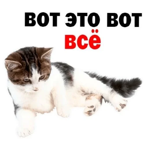 😄 Стикер «Сил вам» для Telegram