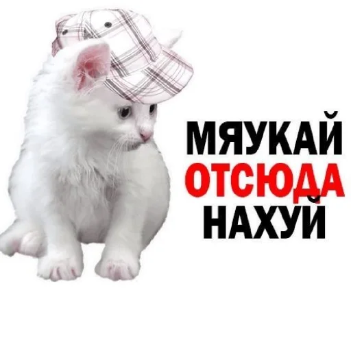 😡 Стикер «Сил вам» для Telegram