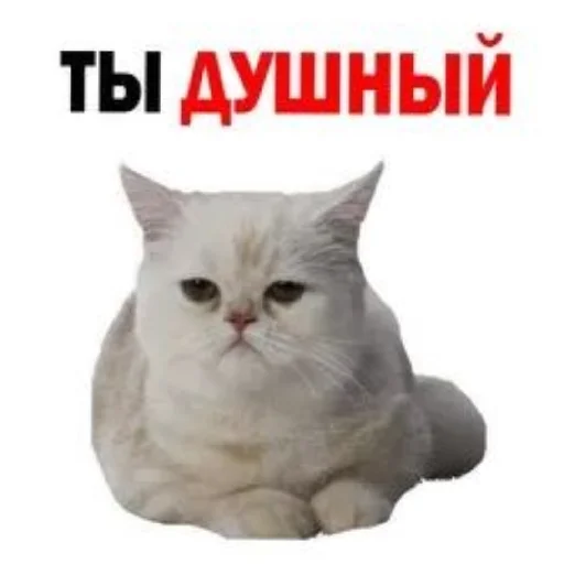🤪 Стикер «Сил вам» для Telegram