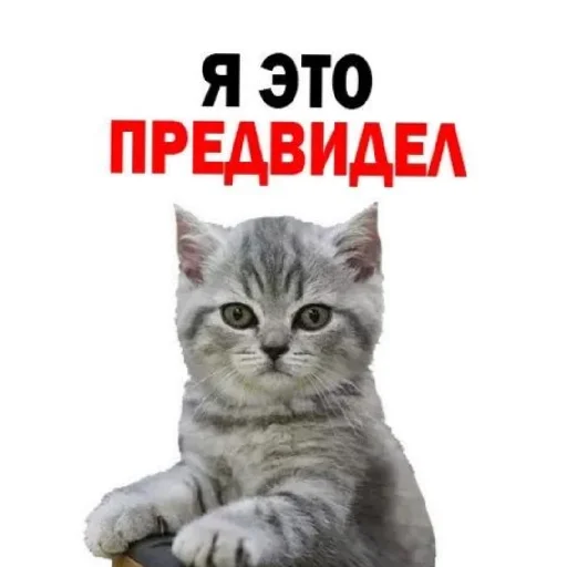 😄 Стикер «Сил вам» для Telegram