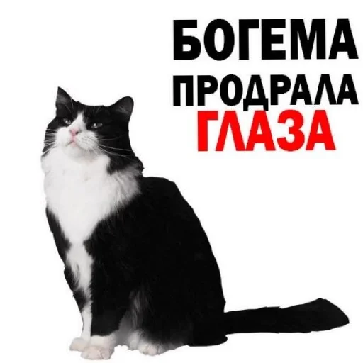 😄 Стикер «Сил вам» для Telegram