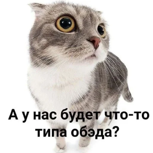 🥺 Стикер «Сил вам» для Telegram