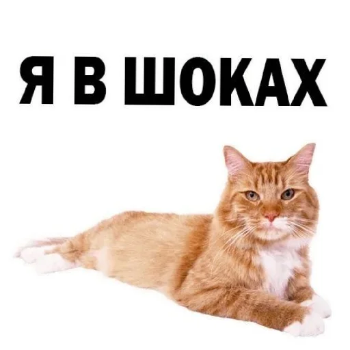 😄 Стикер «Сил вам» для Telegram