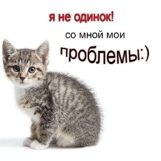 😩 Стикер «Сил вам» для Telegram