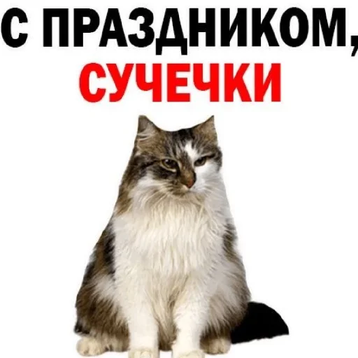 😄 Стикер «Сил вам» для Telegram