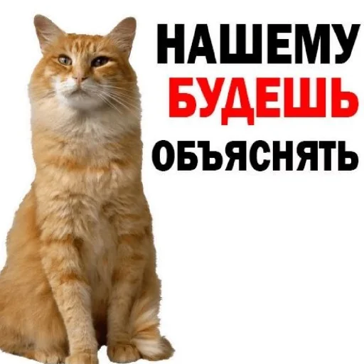 😄 Стикер «Сил вам» для Telegram