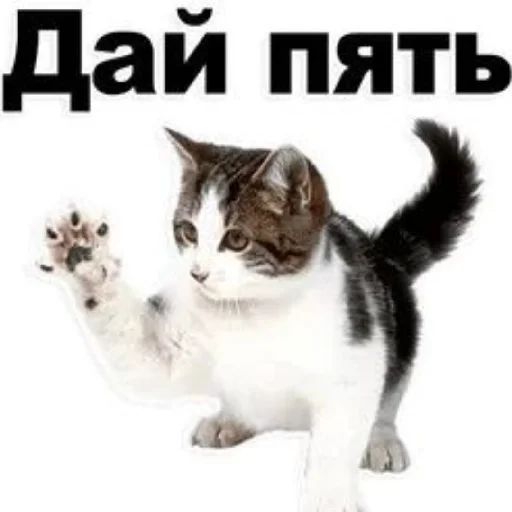 😄 Стикер «Сил вам» для Telegram