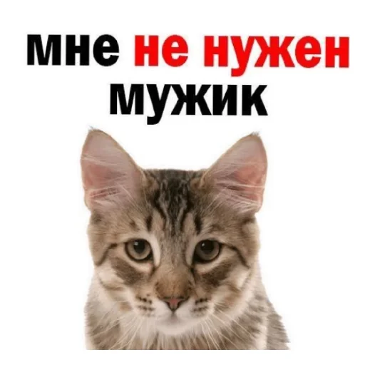 😄 Стикер «Сил вам» для Telegram