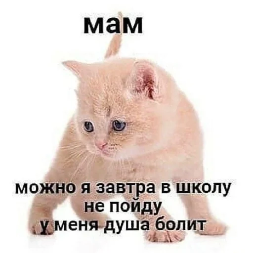 😩 Стикер «Сил вам» для Telegram