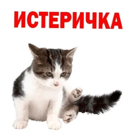 😄 Стикер «Сил вам» для Telegram