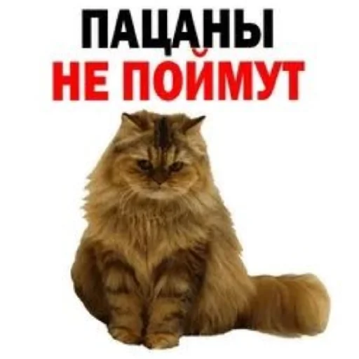 😄 Стикер «Сил вам» для Telegram