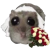 👰‍♀ Эмодзи «Homyak» для Telegram