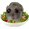 🥗 Эмодзи «Homyak» для Telegram