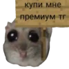 🙏 Эмодзи «Homyak» для Telegram