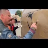 👨‍🎨 Эмодзи «Donsifon» для Telegram
