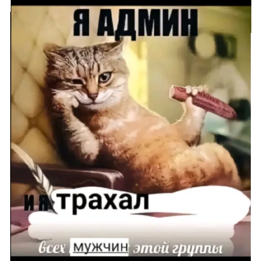😊 Стикер «Sjxjxjrd» для Telegram