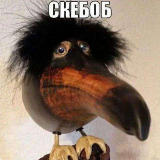 Стикерпак Скебоб для Telegram — скачать