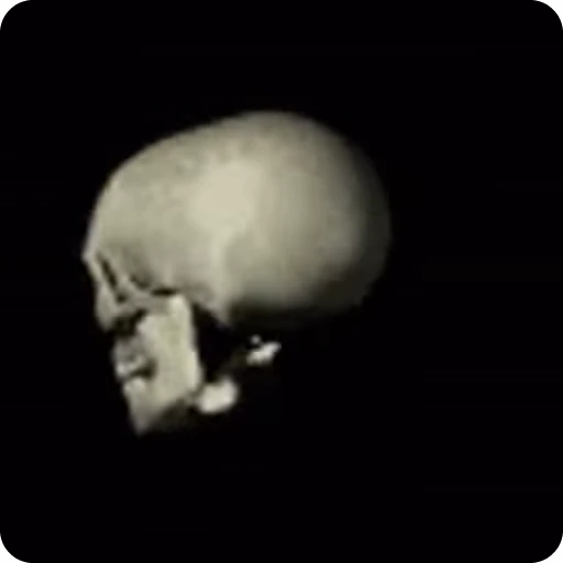 Стикерпак Skeleton для Telegram — скачать