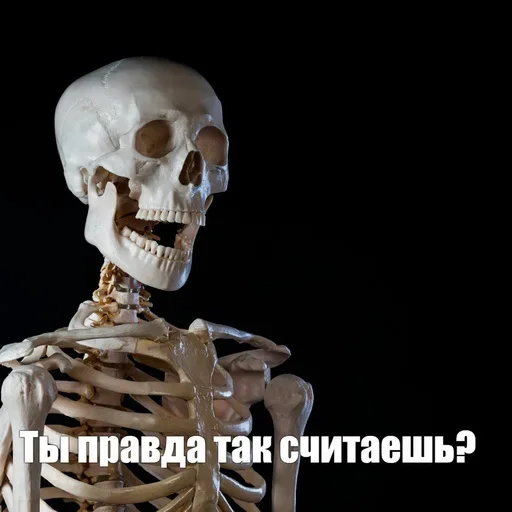 Стикерпак Скелето слэнг для Telegram — скачать