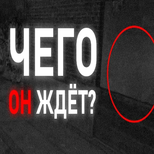 🤔 Стикер «я скибиди выкидыш» для Telegram
