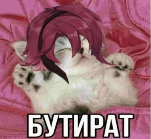 😪 Стикер «сука и ее команда афроамериканцев 2» для Telegram