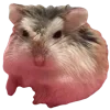 🐹 Эмодзи «Hampter» для Telegram
