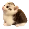🐈 Эмодзи «Hampter» для Telegram