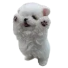 🐾 Эмодзи «Hampter» для Telegram