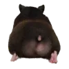 🍠 Эмодзи «Hampter» для Telegram