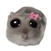 🎀 Эмодзи «Hampter» для Telegram