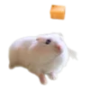 🐹 Эмодзи «Hampter» для Telegram